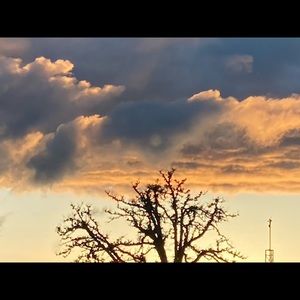 Meet your Posher, Leanne